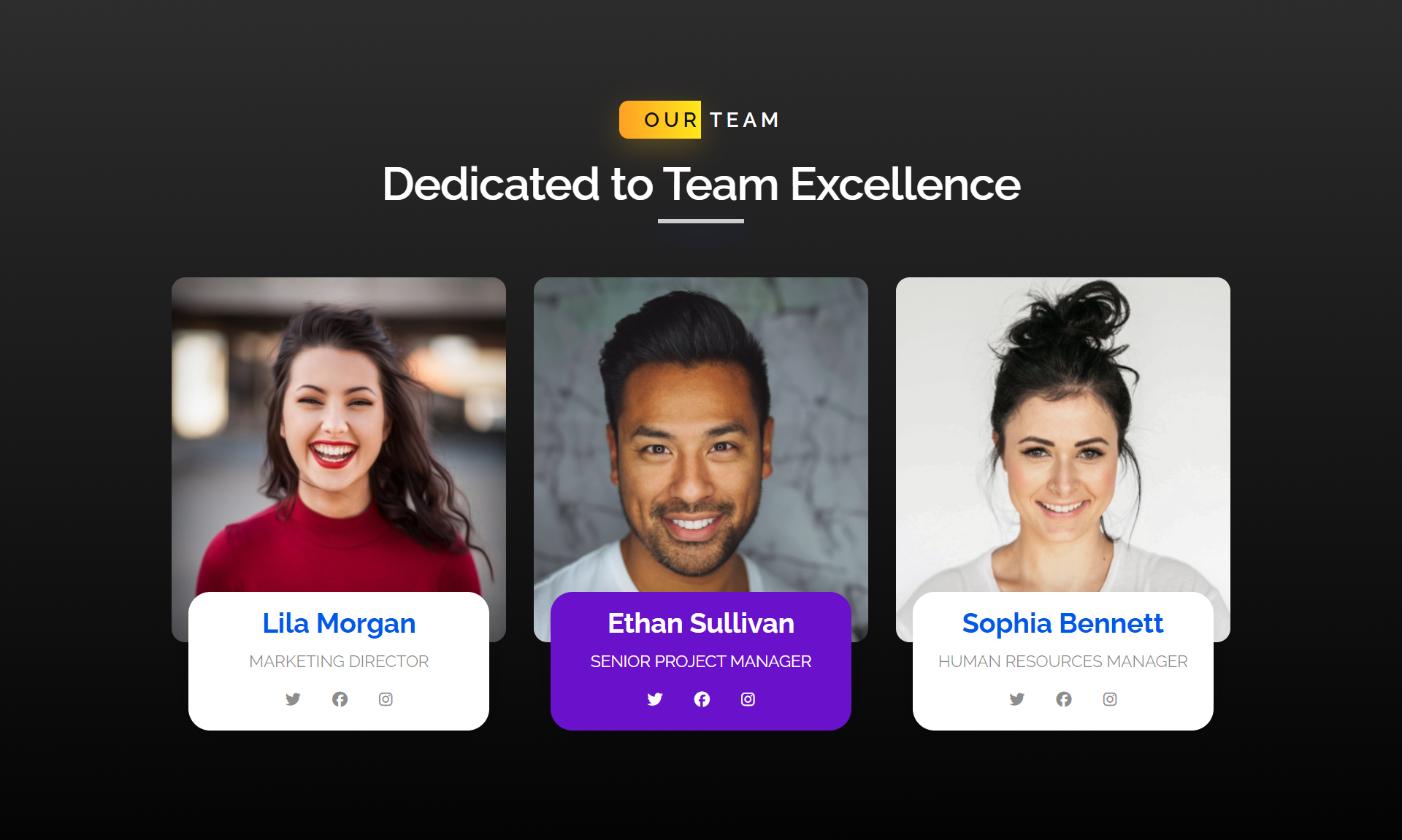 Creative HTML Team Section Templates by Salahudeen007 | CodeCanyon