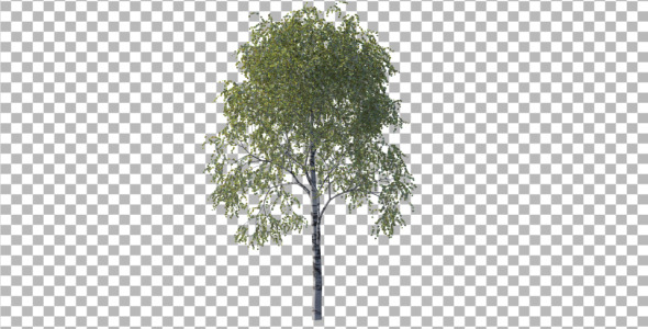 Tree - 3Docean 4233366