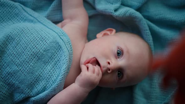 Little Toddler Boy Whit Blue Eye Smiling at Camera Boy Laughing and Happy in Bed Toy Overhead alt
