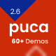 Puca-OptimizedMobileWooCommerceTheme