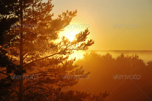 Beautiful sunrise - Stock Photo - Images