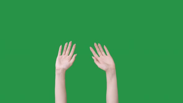 Look Here Hey Gesture Female Hands Waving Hello alt