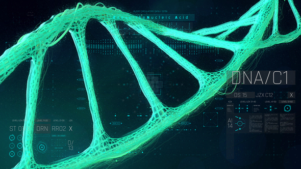 HUD Medical DNA2 Elements template preview