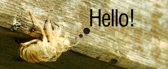 Homebanner