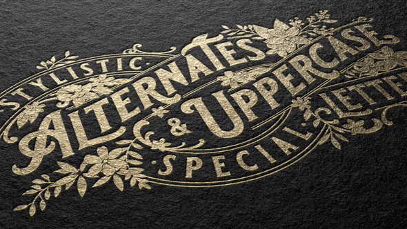 LOGO MOCKUP Logo Stings template preview