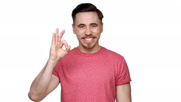 Portrait of Handsome Guy 30s in Casual Tshirt Smiling and Showing Ok Symbol in Approval or alt