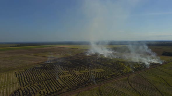 Fire on Agricultural Field