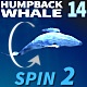 Humpback Whale 14 - VideoHive Item for Sale
