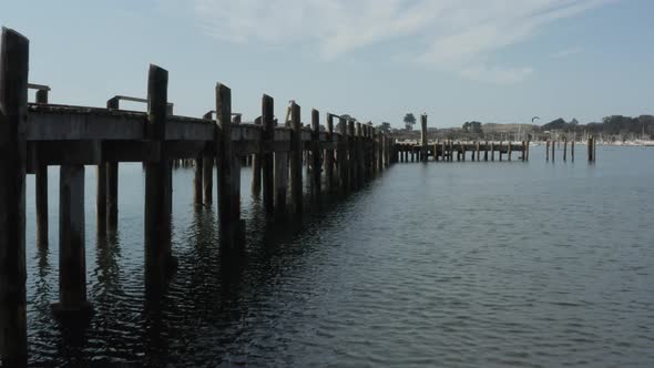 Aerial video of Old Abandoned dock with birds flying past in Northern California Bodega Bay alt