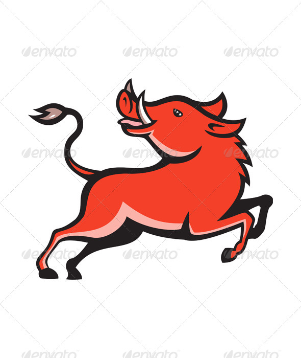Wild Pig Razorback Hog - Animals Characters