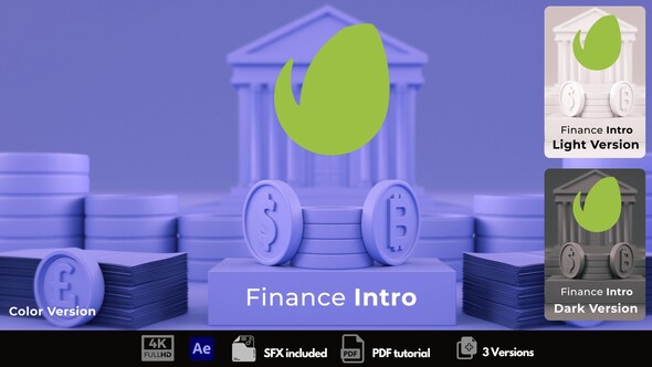 Finance Intro Logo Stings template preview