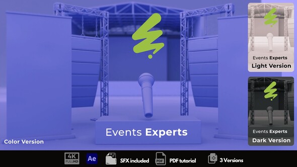 Events Experts Video Displays template preview