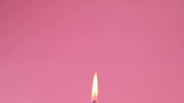 Rotating Birthday Cake for Girls or Women or a Cupcake with a Burning Candle on a Pink Background
