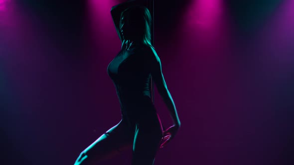 Beautiful Passionate Pole Dance Performed By a Professional Striptease Dancer alt