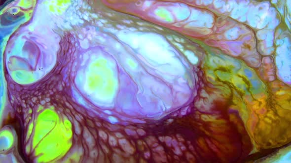 Color Surface Moving Surface Liquid Paint Art Texture 