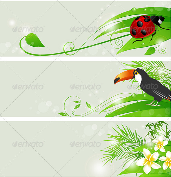 Summer Green Banners - Flowers & Plants Nature