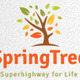 Spring Tree Logo, Logo Templates | GraphicRiver