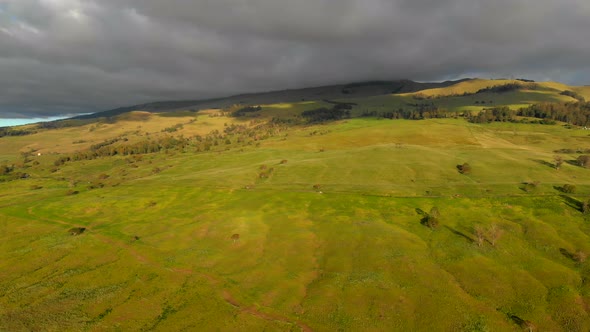 Beautiful amazing 4k drone Maui upcountry on highway 31 looking towards Haleakala Mountain. February alt