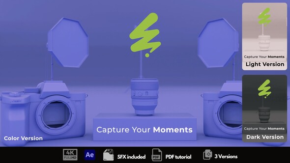 Photographer Logo Logo Stings template preview