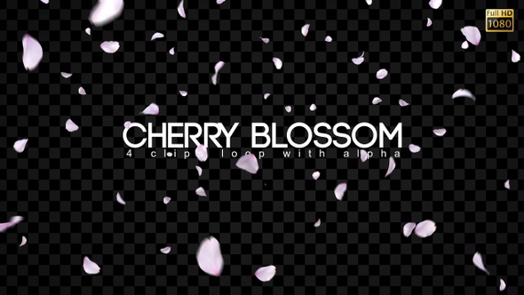 Cherry Blossom alt