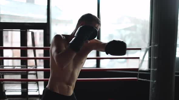 Boxer Man Fulfills Blows alt