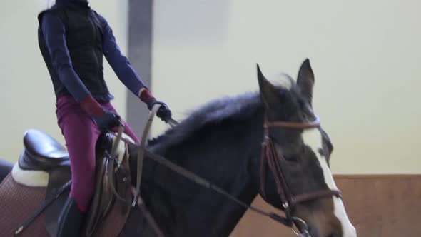 Girl riding her horse on hippodrome