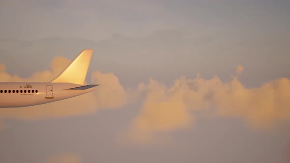The Plane Flies in the Clouds in the Setting Sun