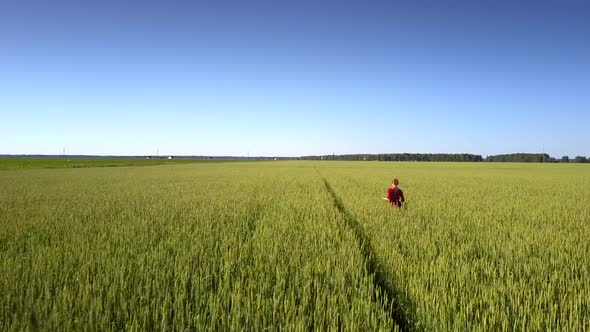 Beautiful Woman in Elegant Red Dress Crosses Yellow Field alt