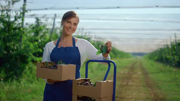 Beautiful Woman Holding Orchard Cherry Box at Modern Sunny Outdoors Green House alt