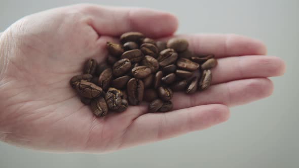 Freshly Roasted Arabica Coffee Beans in a Man's Hand