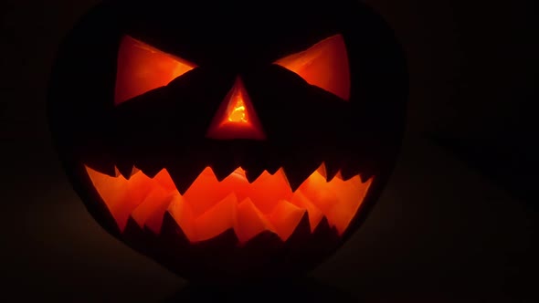 Halloween Scary Pumpkin in the Dark