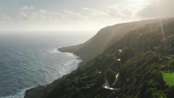 Tees Growing on Hills of Mountains at Sao Jorge Island Azores Portugal alt