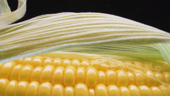 Super macro of corn grains. alt