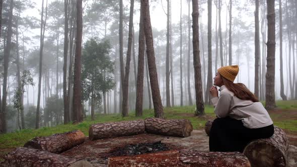 Slow motion rear view of a young asian woman sitting alone in pine tree woods on foggy day