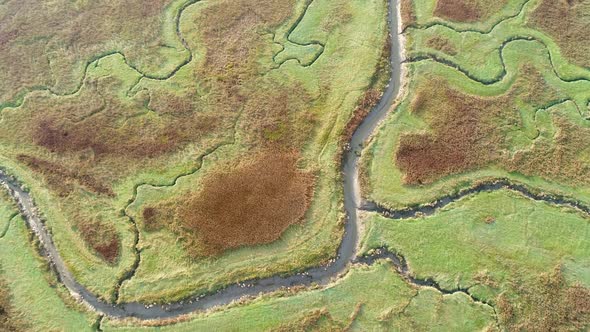 Aerial view of small stream crossing wetland, Netherlands. alt