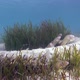 Geometric Morays lives in Truck Tires - VideoHive Item for Sale