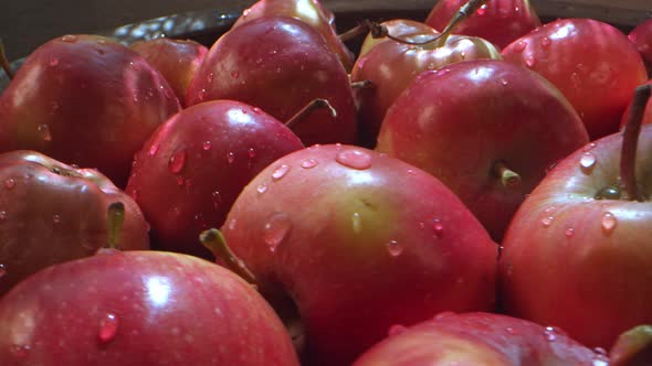 Red Juicy And Healthy Fruit Apple 5 alt