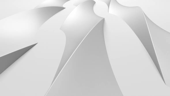 A variety of white abstract shapes are moving on a white background.