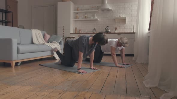 Mom and Daughter Doing the Home Fitness Exercises.