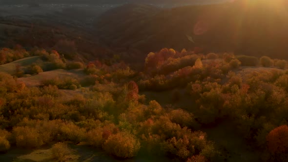 Aerial Slider Shot of Autumn Mountain Valley With Golden Trees