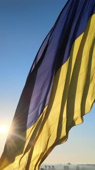 Vertical Video National Flag of Ukraine By Day alt
