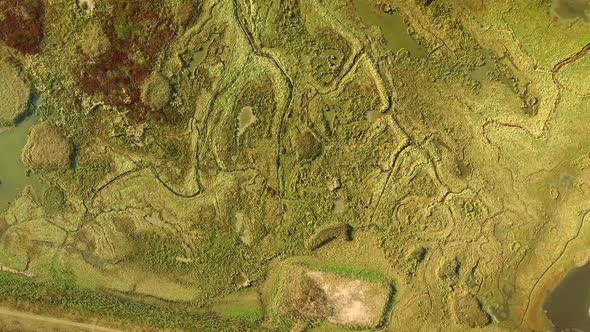Abstract aerial view of wetlands landscape in the Netherlands. alt