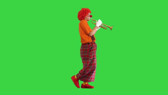 Walking Clown Playing the Trumpet on a Green Screen Chroma Key alt