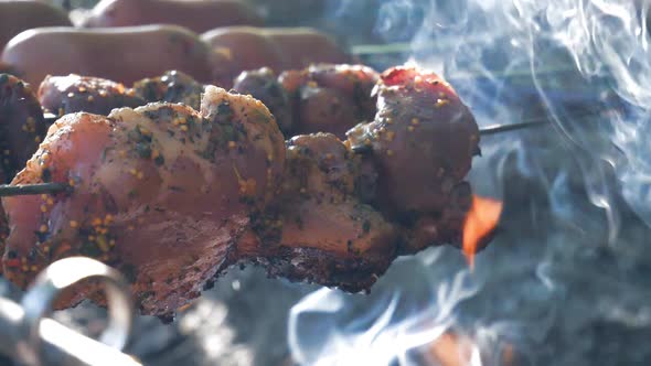 barbecue on the grill with a smoke. Juicy meat with a burning fire in the grill, grilled pork alt