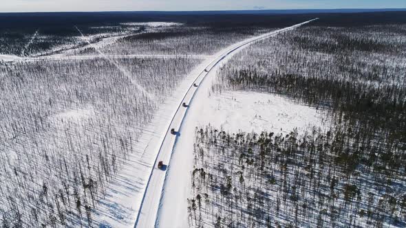 Top View of Dump Trucks Driving One After Another in Winter Forest on Snowy Road