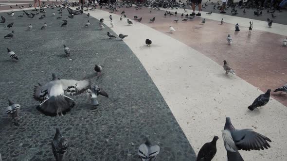 BARCELONA SPAIN October 30 2018 Timelapse View of Placa Catalunya on October 30 2018 in Barcelona alt