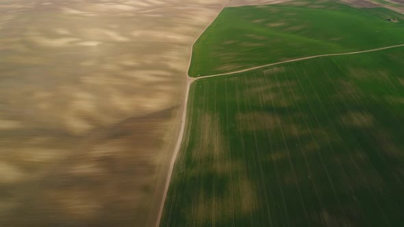 Ukrainian Sown Spring Fields of Brown and Green