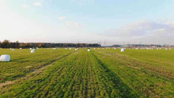 Plastic Wrapped Hay Bales Scattered Around Harvested Field alt