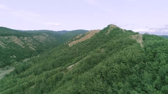  Green mountains and tree areas