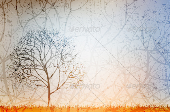 Lonely Tree - Nature Conceptual